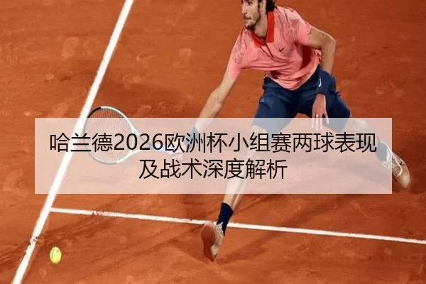 哈兰德2026欧洲杯小组赛两球表现及战术深度解析