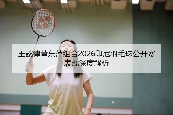 wang-yi-lv-huang-dong-ping-zu-he-yin-ni-yu-mao-qiu-gong-kai-sai-biao-xian-shen-du-jie-xi-2-428.jpg