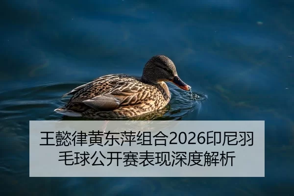 王懿律黄东萍组合2026印尼羽毛球公开赛表现深度解析