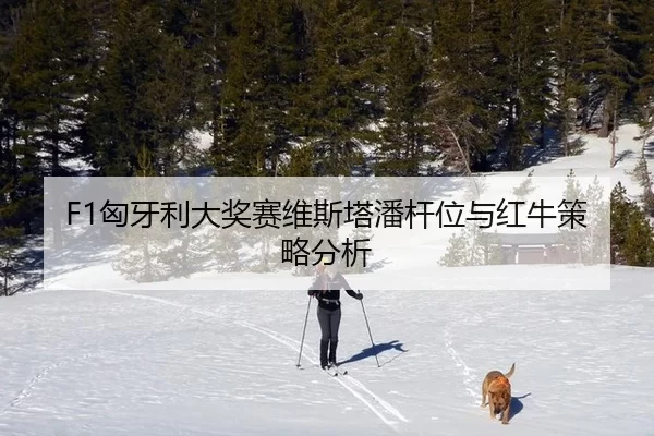 xiong-ya-li-da-jiang-sai-wei-si-ta-pan-gan-wei-yu-hong-niu-ce-lve-fen-xi-2-793.jpg